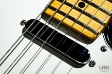 Fender Player II Telecaster  / 2025_5