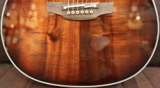 Takamine 【15本限定】PTU731KC SP08【バーストカラー】【オールコアボディ】_4