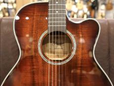 Takamine 【15本限定】PTU731KC SP08【バーストカラー】【オールコアボディ】_5