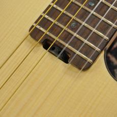 SCHECTER OL-FL-N-2 SNTL_4