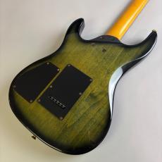 Aria Pro II Magna Series　HSH　model_5