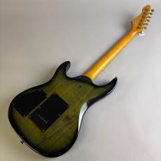 Aria Pro II Magna Series　HSH　model_6