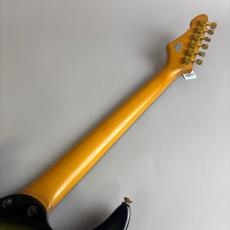 Aria Pro II Magna Series　HSH　model_7