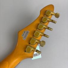 Aria Pro II Magna Series　HSH　model_8