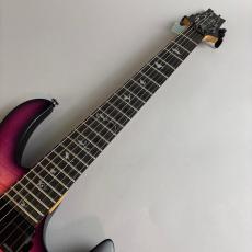 Paul Reed Smith [PRS] SE Chleo Orchid Dusk_3