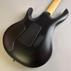 Paul Reed Smith [PRS] SE Chleo Orchid Dusk_5
