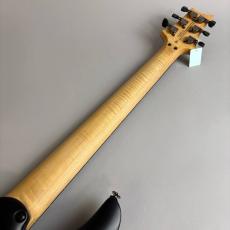Paul Reed Smith [PRS] SE Chleo Orchid Dusk_7