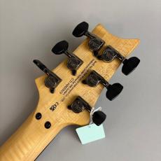 Paul Reed Smith [PRS] SE Chleo Orchid Dusk_8