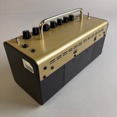 YAMAHA THR5A_5