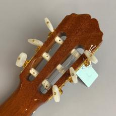 Takamine No.16_8