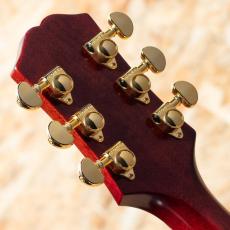 Epiphone Inspired by Gibson Hummingbird Standard EC CS_9