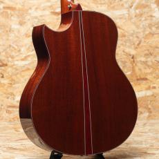 Taylor Custom GO-Ce 2013_2