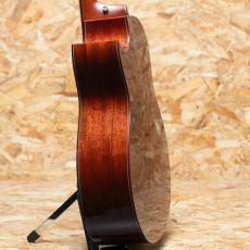 Taylor Custom GO-Ce 2013_5