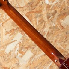 Taylor Custom GO-Ce 2013_7