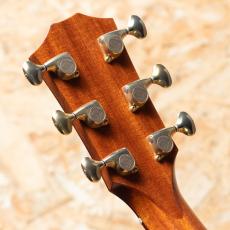 Taylor Custom GO-Ce 2013_9