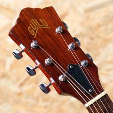 Guild D-40 1972_8