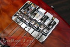SCHECTER CB-1 Custom CHS_8