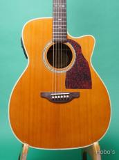 Shelly SY-M20 PU標準装備 (LR Baggs StagePro Onboard Pickup Element)