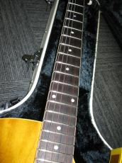 KING SNAKE Curtis Amber Natural_4