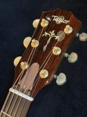 Taylor 【USED】 914 c 2000年製【G-CLUB TOKYO】_4