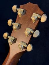 Taylor 【USED】 914 c 2000年製【G-CLUB TOKYO】_5