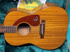 Epiphone FT-30 CABALLERO_2