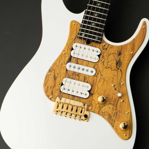T's DST Pro 24 w/Spalted Maple PG -Steps White Mat / Burned Ash Back-