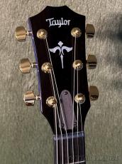 Taylor 【Japan Limited 】614ce Next Generation -Royal Blue- #1204236082【Claria™搭載】【Slim Neck】【送料当社負担】_4