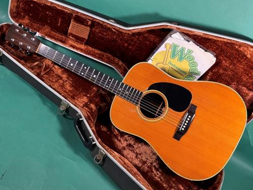 Martin D-28