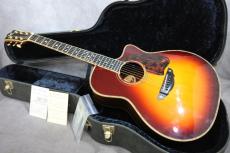 Terry's Casual TC-M7 SB Cutaway 2009