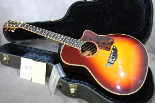 Terry's Casual TC-M7 SB Cutaway 2009