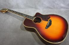 Terry's Casual TC-M7 SB Cutaway 2009_2