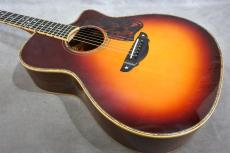 Terry's Casual TC-M7 SB Cutaway 2009_4