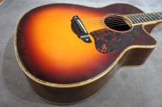 Terry's Casual TC-M7 SB Cutaway 2009_5