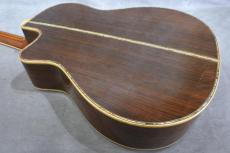 Terry's Casual TC-M7 SB Cutaway 2009_6