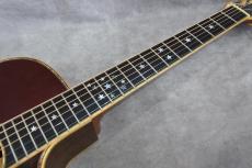 Terry's Casual TC-M7 SB Cutaway 2009_8