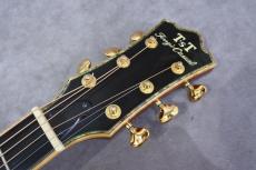 Terry's Casual TC-M7 SB Cutaway 2009_9