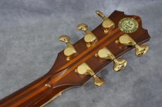 Terry's Casual TC-M7 SB Cutaway 2009_10