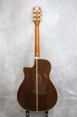 Terry's Casual TC-M7 SB Cutaway 2009_12