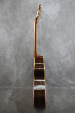 Terry's Casual TC-M7 SB Cutaway 2009_14