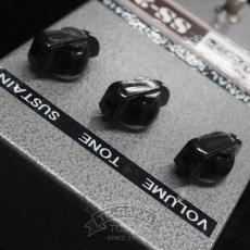 Pete CORNISH SS-2 (SOFT SUSTAIN-2)_5