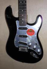 Squier Standard series_2