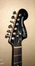 Squier Standard series_3