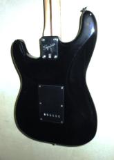 Squier Standard series_6