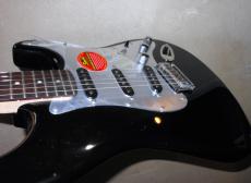 Squier Standard series_7