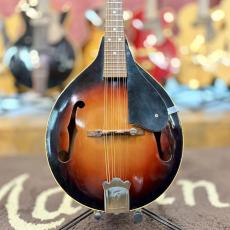 Jumbo A-Type Mandolin_2