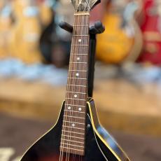 Jumbo A-Type Mandolin_3