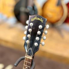 Jumbo A-Type Mandolin_4