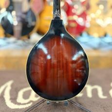 Jumbo A-Type Mandolin_7