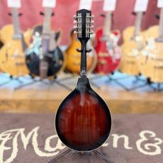Jumbo A-Type Mandolin_8